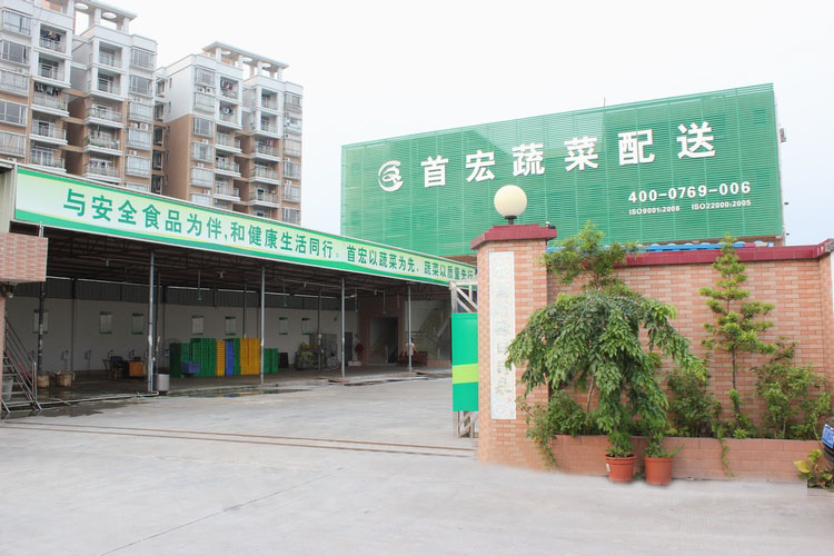 江门蔬菜配送